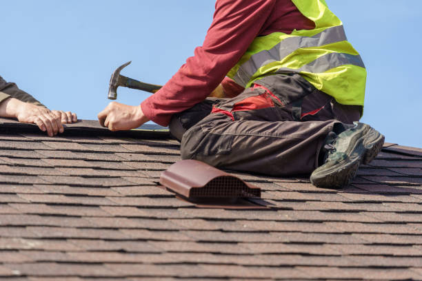 Best Sealant for Roof  in Flora, AL